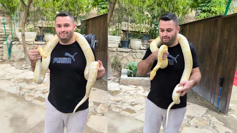 photo-with-snake in side