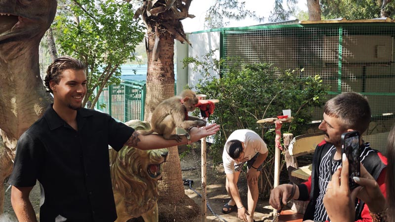 antalya monkey photo