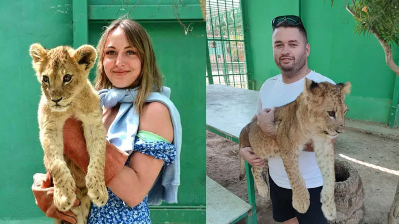 photo-with-lion-belek