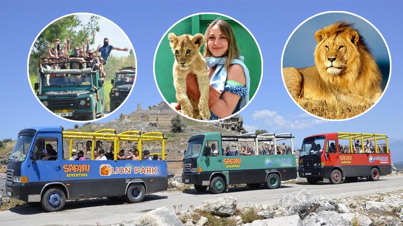 Lion Park & Safari Tour from Alanya and Side