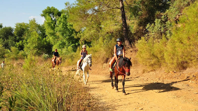 horse riding alanya recommendation