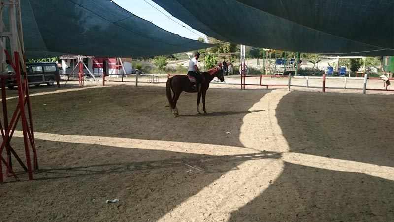horse riding prices alanya