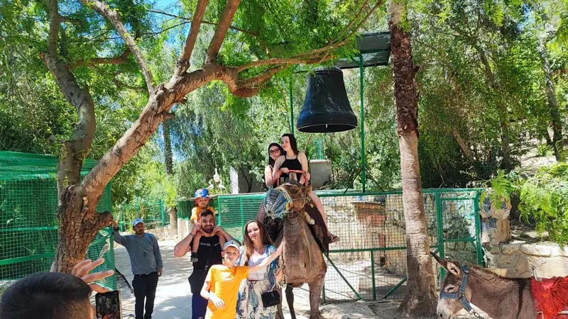 camel safari experience lara