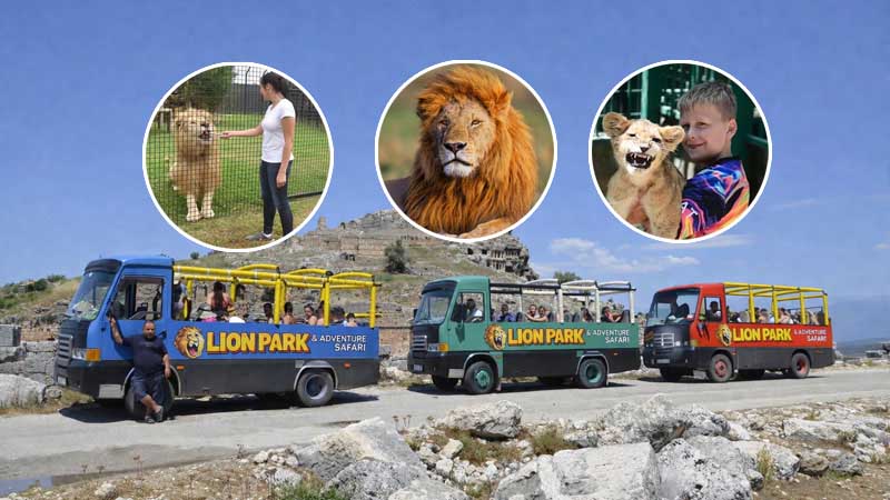 lion park and adventure safari antalya
