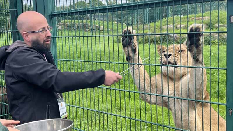 lion tour alanya